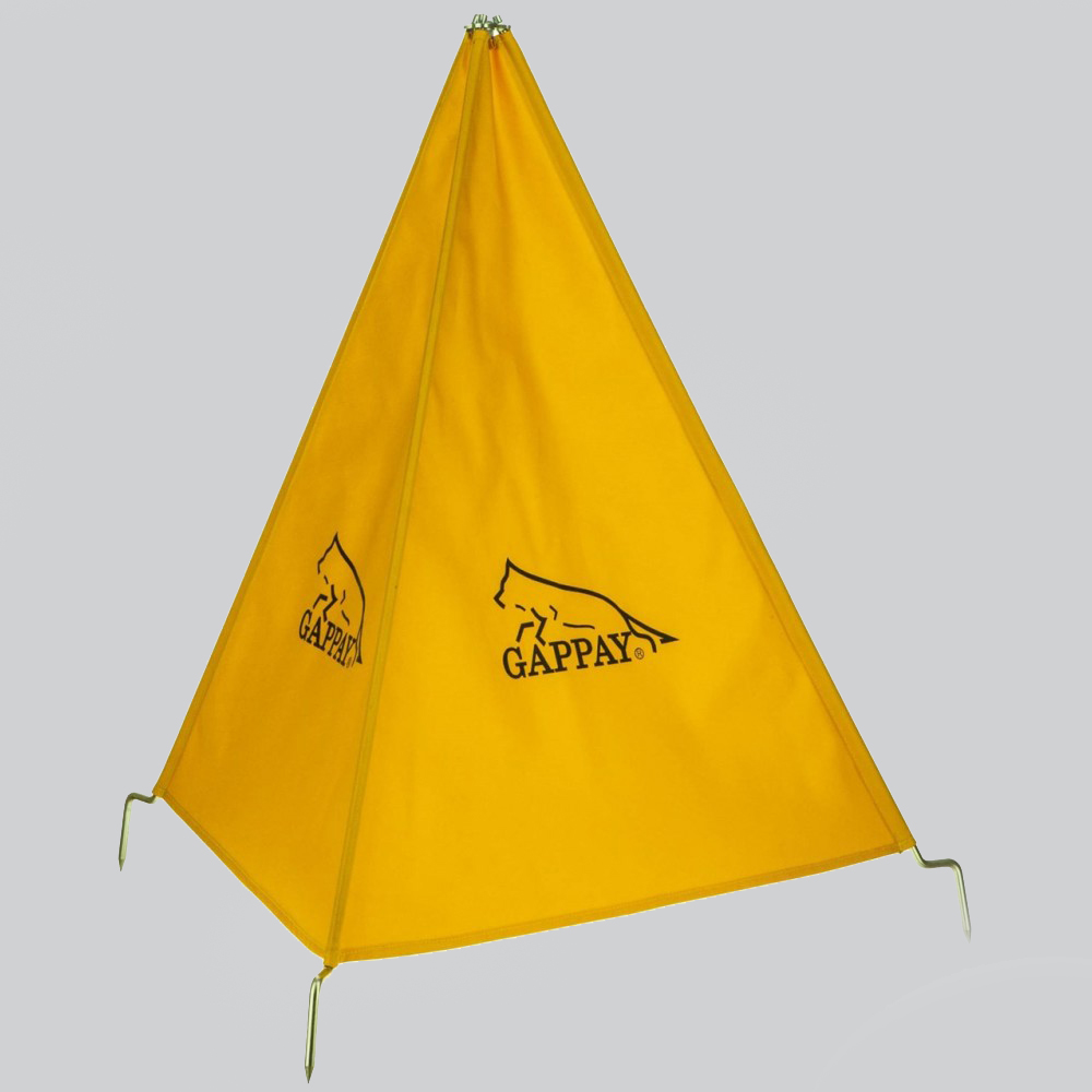 gappay20_0.jpg