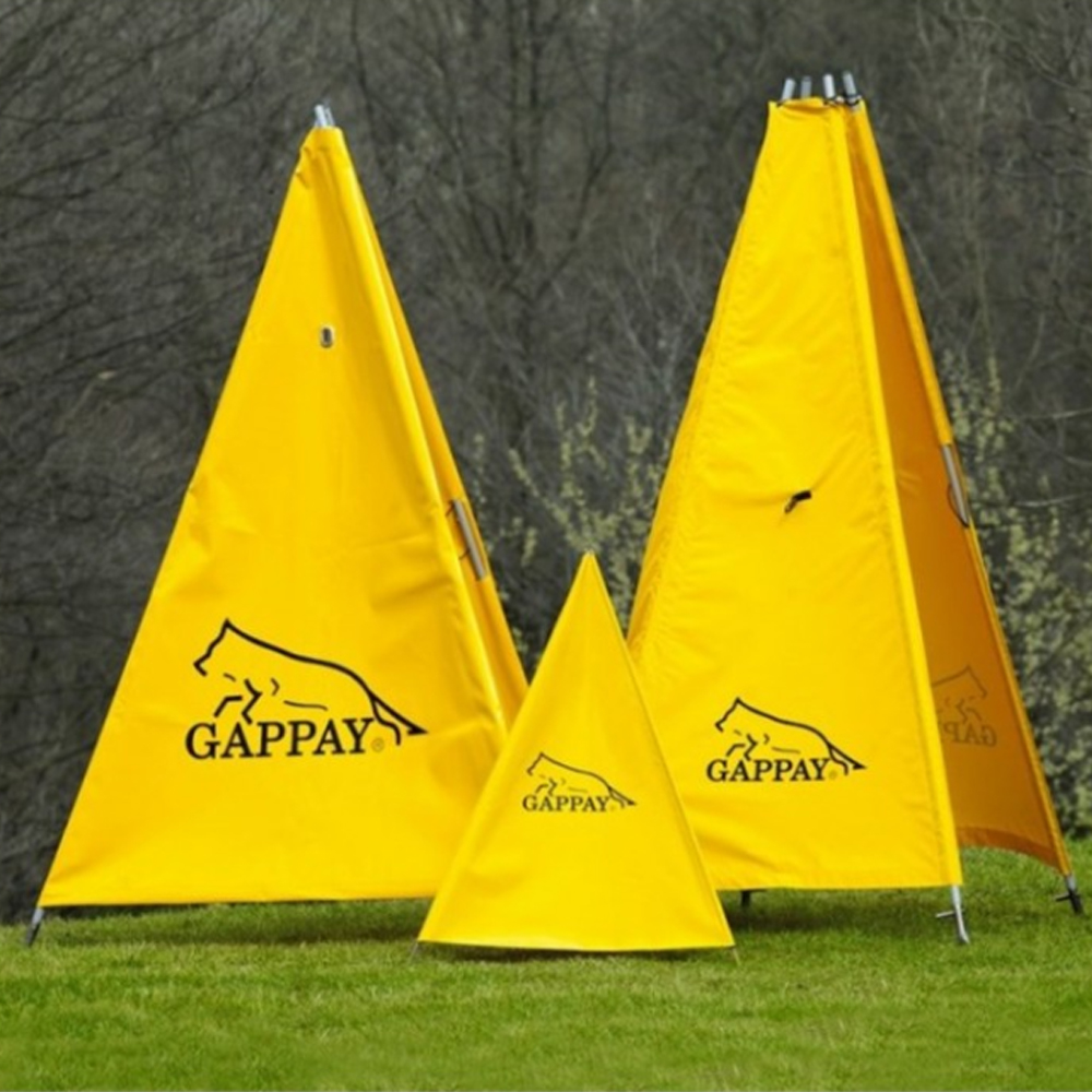 gappay20_3.jpg